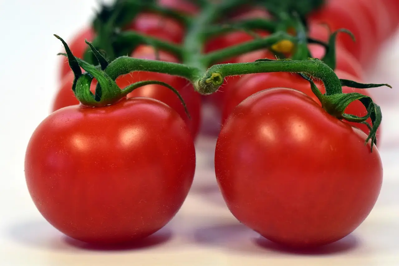Ecco cosa piantare vicino ai pomodori per un orto sano e produttivo